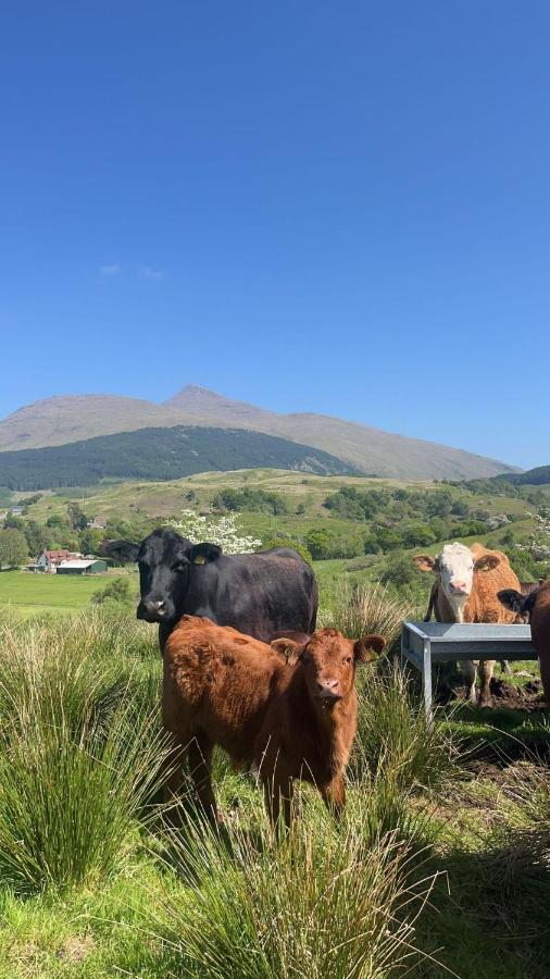 Tigh Na Cille Studio, Taynuilt Exterior foto